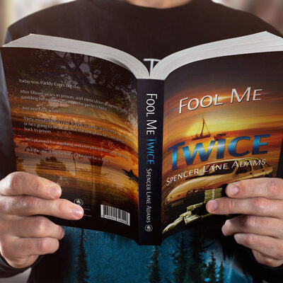 Fool Me Twice Crime Heist Thriller Book
